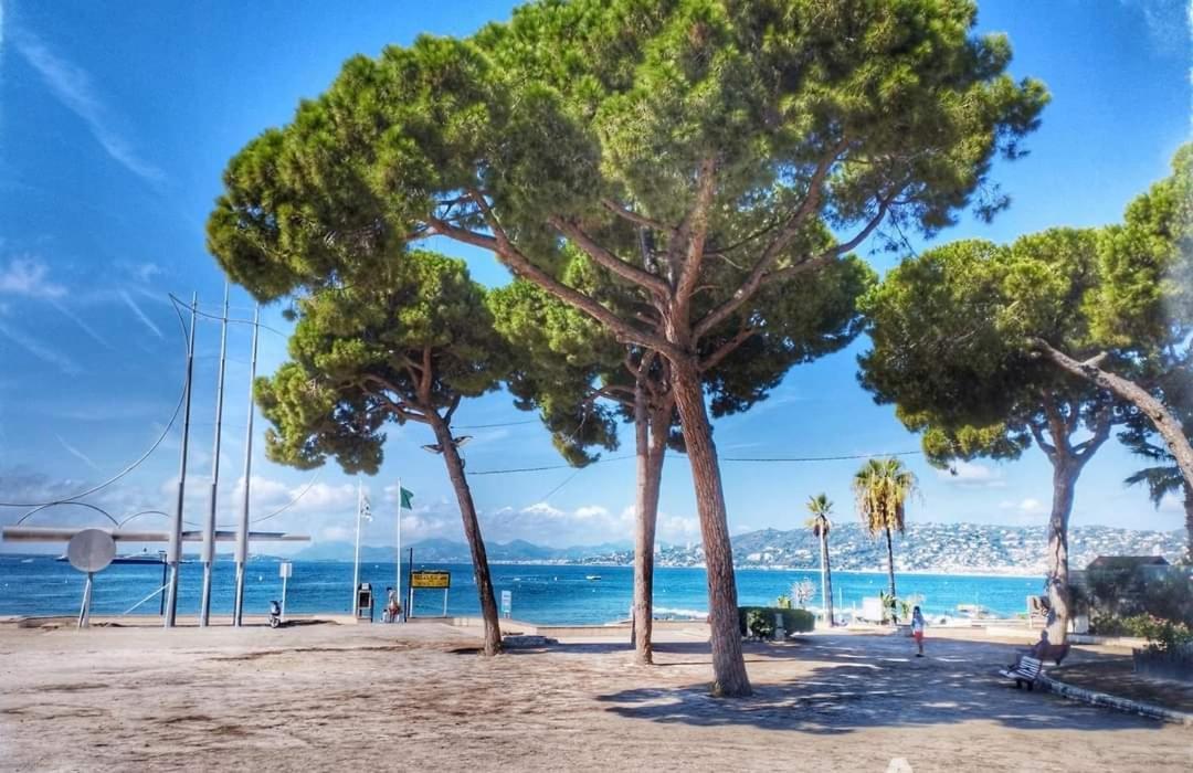 Splendide 3 Pieces Vue Mer Antibes Exterior photo